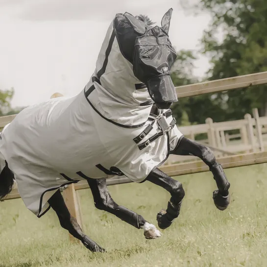 Fly Mask Classic with Ears & Nose