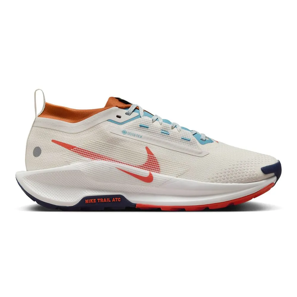 Nike Men's Pegasus Trail 5 GORE-TEX